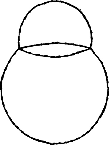 Иллюстрация к книге — Тайны чисел. Математическая одиссея [i_041.jpg]