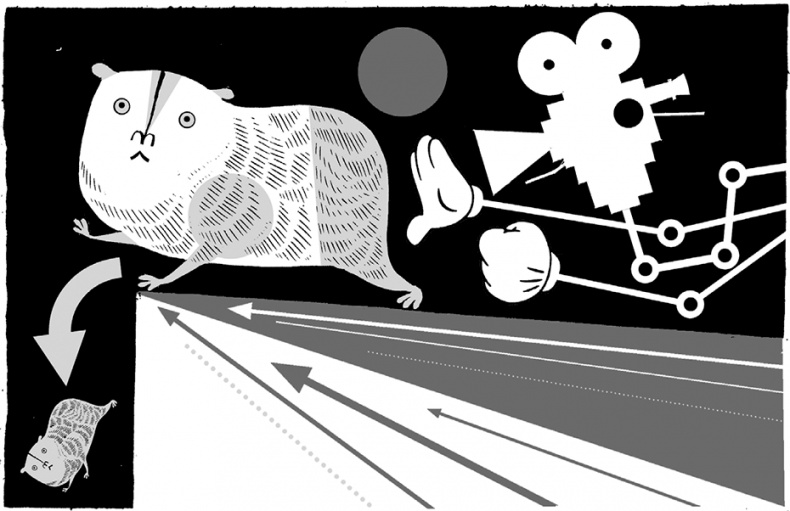 Иллюстрация к книге — Тайны чисел. Математическая одиссея [i_159.jpg]