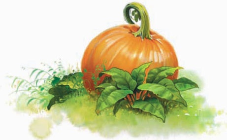 Иллюстрация к книге — Башня желаний [_33.jpg]