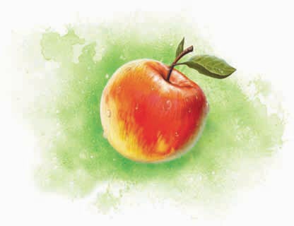 Иллюстрация к книге — Башня желаний [_52.jpg]