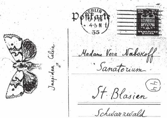 Иллюстрация к книге — Письма к Вере [i_011.jpg]