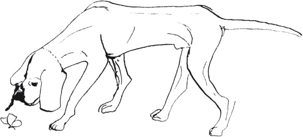 Иллюстрация к книге — Письма к Вере [i_022.jpg]