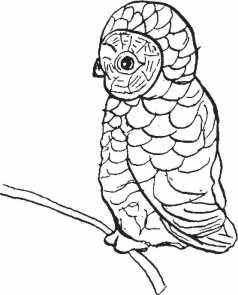 Иллюстрация к книге — Письма к Вере [i_024.jpg]