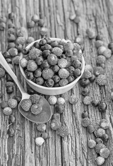 Иллюстрация к книге — Скандинавский секрет. Простые правила здоровой и счастливой жизни [i_009.jpg]