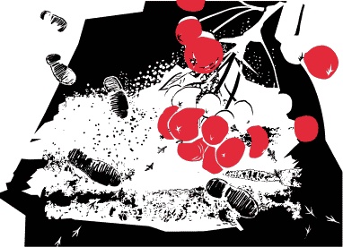 Иллюстрация к книге — Хочешь жить, Викентий? [i_015.jpg]