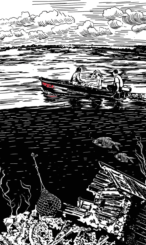 Иллюстрация к книге — Хочешь жить, Викентий? [i_025.jpg]