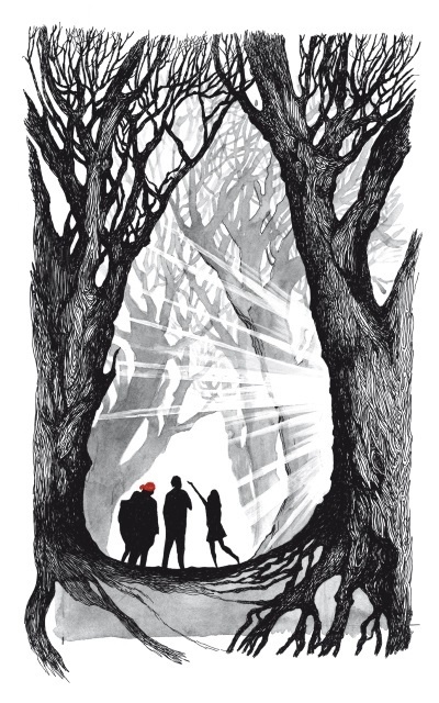 Иллюстрация к книге — Сто фактов обо мне [i_001.jpg]