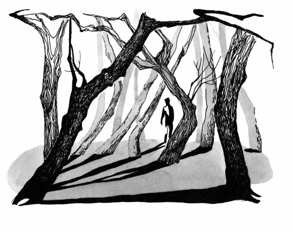 Иллюстрация к книге — Сто фактов обо мне [i_117.jpg]