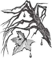 Иллюстрация к книге — Сто фактов обо мне [i_121.jpg]