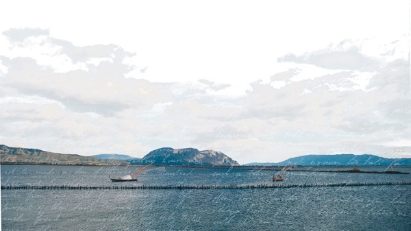 Иллюстрация к книге — Путешествие за счастьем. Почтовые открытки из Греции [i_044.jpg]