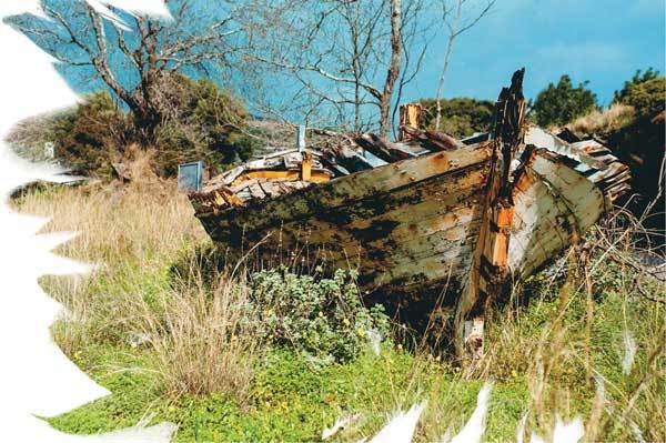 Иллюстрация к книге — Путешествие за счастьем. Почтовые открытки из Греции [i_118.jpg]