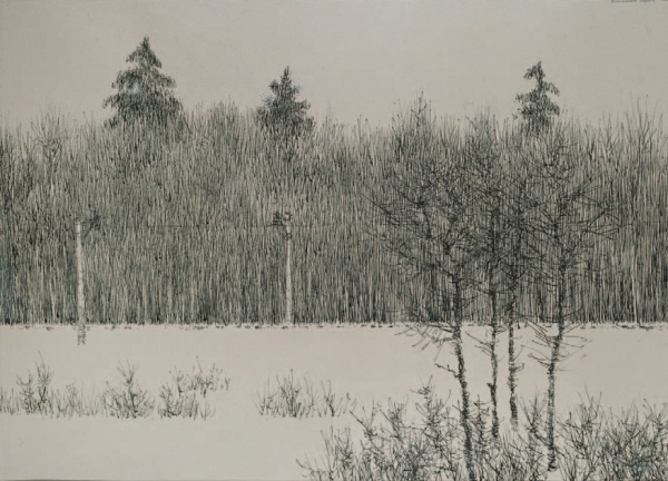 Иллюстрация к книге — Это мое [i_042.jpg]