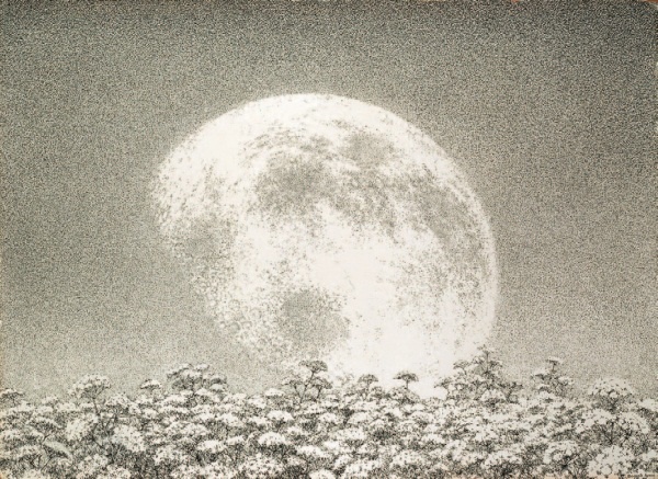 Иллюстрация к книге — Это мое [i_043.jpg]