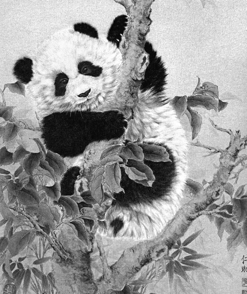 Иллюстрация к книге — В гареме Сына Неба. Жены и наложницы Поднебесной [i_089.jpg]