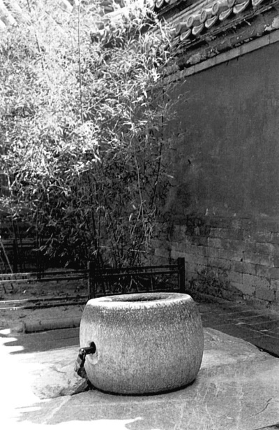 Иллюстрация к книге — В гареме Сына Неба. Жены и наложницы Поднебесной [i_119.jpg]