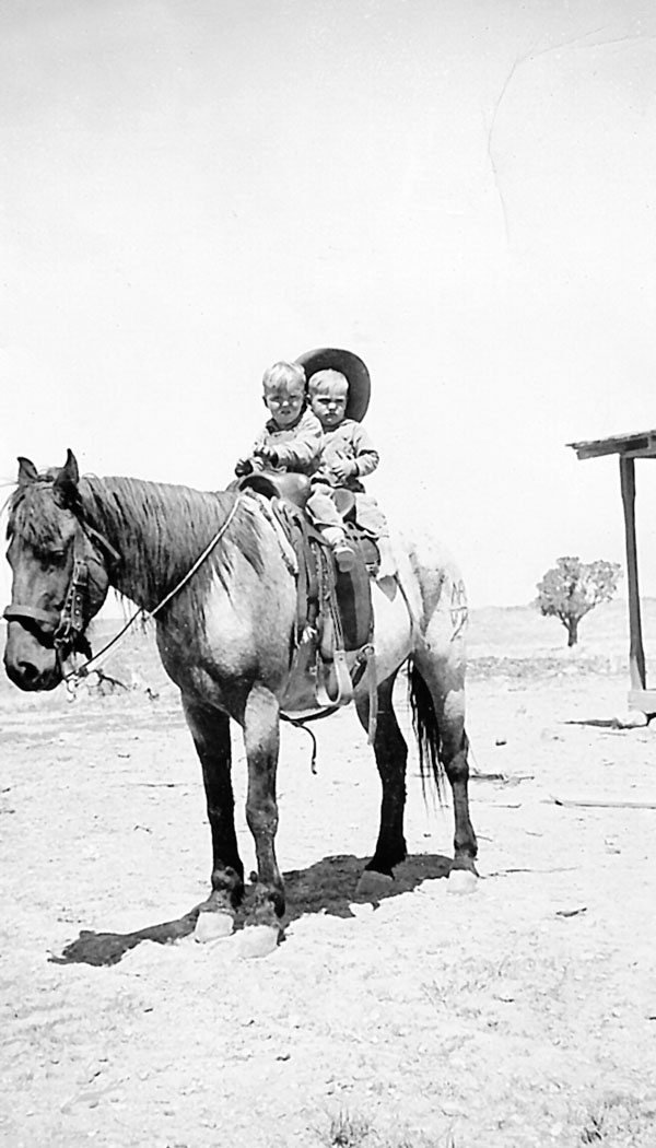 Иллюстрация к книге — Дикие лошади. У любой истории есть начало [i_007.jpg]