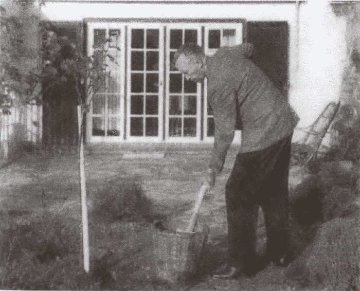 Иллюстрация к книге — Аденауэр. Отец новой Германии [i_026.jpg]