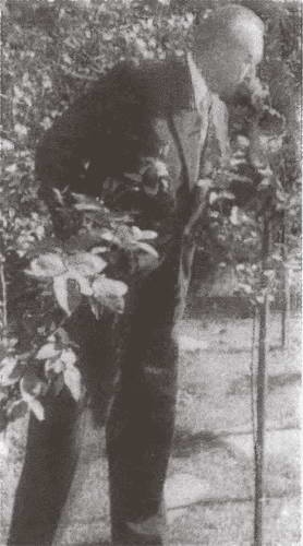 Иллюстрация к книге — Аденауэр. Отец новой Германии [i_045.jpg]