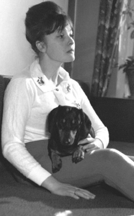 Иллюстрация к книге — Промельк Беллы. Романтическая хроника [vkl34.jpg]