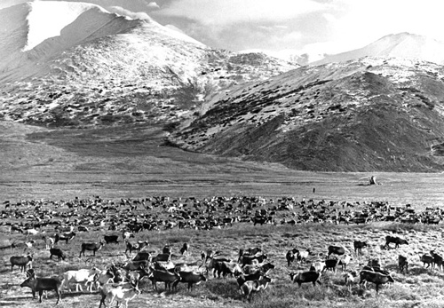 Иллюстрация к книге — Как было на самом деле. Каждая история желает быть рассказанной [i_032.jpg]