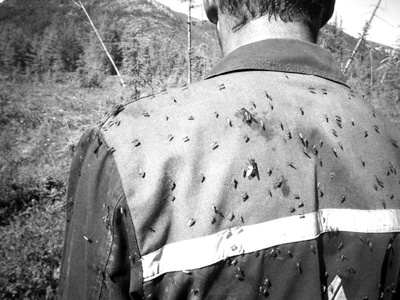 Иллюстрация к книге — Как было на самом деле. Каждая история желает быть рассказанной [i_094.jpg]