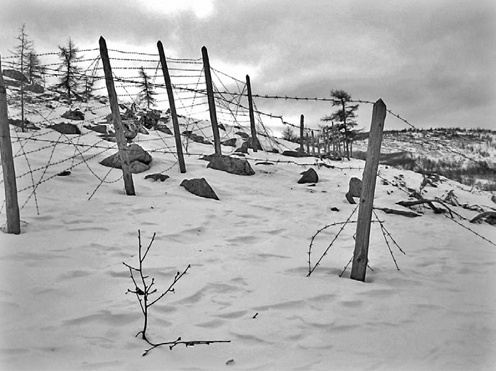 Иллюстрация к книге — Как было на самом деле. Каждая история желает быть рассказанной [i_100.jpg]