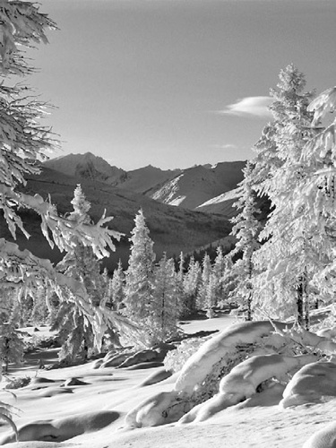 Иллюстрация к книге — Как было на самом деле. Каждая история желает быть рассказанной [i_102.jpg]