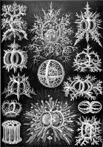 Иллюстрация к книге — Как было на самом деле. Каждая история желает быть рассказанной [i_143.jpg]