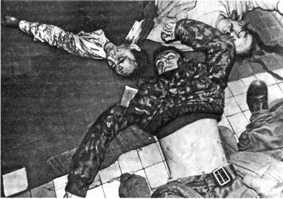 Иллюстрация к книге — Как было на самом деле. Каждая история желает быть рассказанной [i_231.jpg]