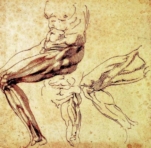 Иллюстрация к книге — Микеланджело Буонарроти [i_012.jpg]