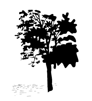 Иллюстрация к книге — Странная месть [i_001.jpg]