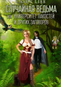Книга Случайная ведьма или Университет Заговоров и других Пакостей
