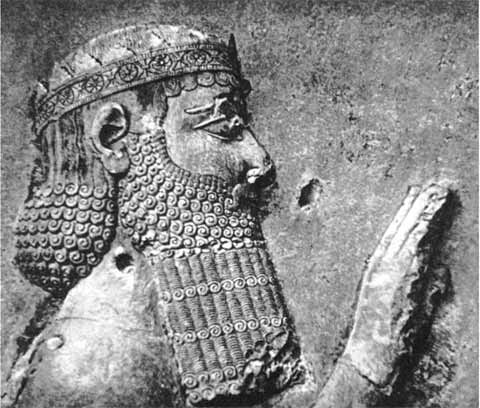 Иллюстрация к книге — Александр Македонский [i_020.jpg]