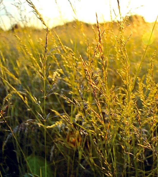 Иллюстрация к книге — Lykke. В поисках секретов самых счастливых людей [i_014.jpg]