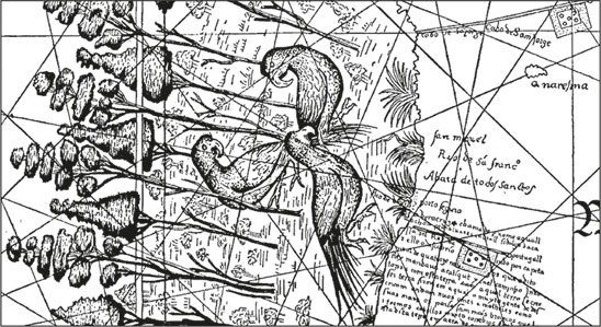 Иллюстрация к книге — Завоеватели. Как португальцы построили первую мировую империю [i_019.jpg]