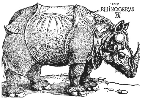 Иллюстрация к книге — Завоеватели. Как португальцы построили первую мировую империю [i_043.jpg]