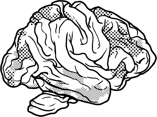 Иллюстрация к книге — Свободу мозгу! Что сковывает наш мозг и как вырвать его из тисков, в которых он оказался [i_003.jpg]