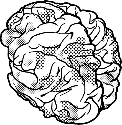 Иллюстрация к книге — Свободу мозгу! Что сковывает наш мозг и как вырвать его из тисков, в которых он оказался [i_004.jpg]