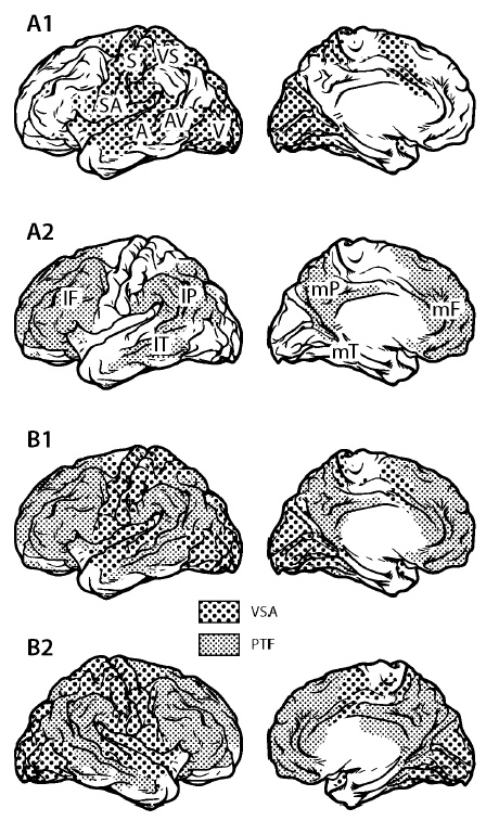 Иллюстрация к книге — Свободу мозгу! Что сковывает наш мозг и как вырвать его из тисков, в которых он оказался [i_009.jpg]