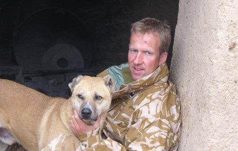 Иллюстрация к книге — Собаки, которых мы спасли. Нет места лучше дома [i_002.jpg]