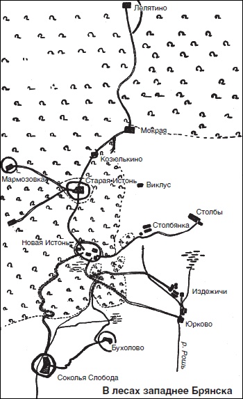 Иллюстрация к книге — Пехота вермахта на Восточном фронте. 31-я пехотная дивизия в боях от Бреста до Москвы. 1941-1942 [i_008.jpg]