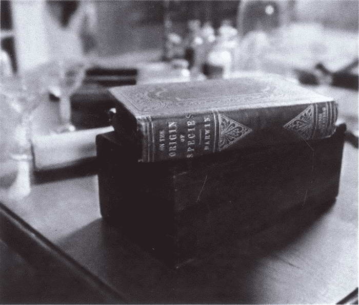 Иллюстрация к книге — Дарвин [i_030.jpg]