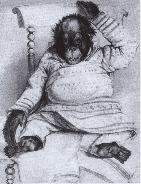 Иллюстрация к книге — Дарвин [i_034.jpg]