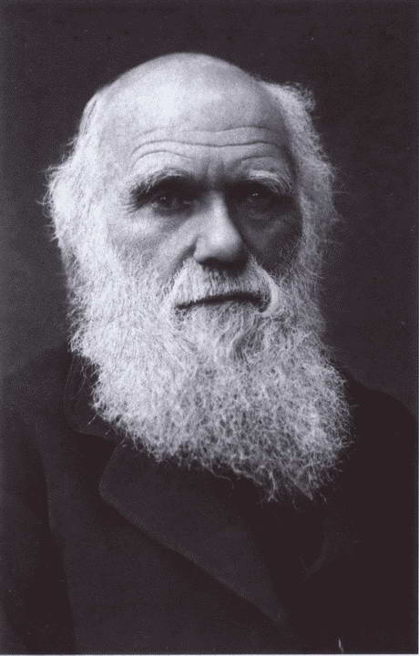 Иллюстрация к книге — Дарвин [i_035.jpg]