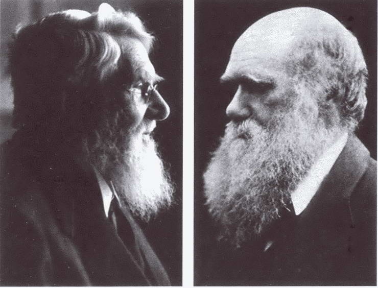 Иллюстрация к книге — Дарвин [i_050.jpg]