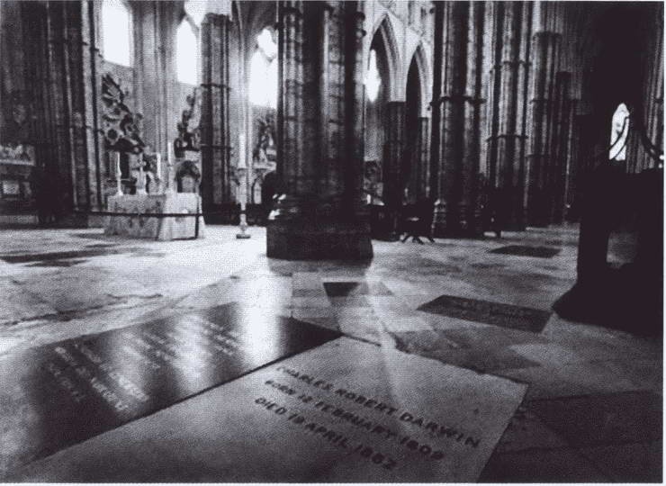 Иллюстрация к книге — Дарвин [i_057.jpg]