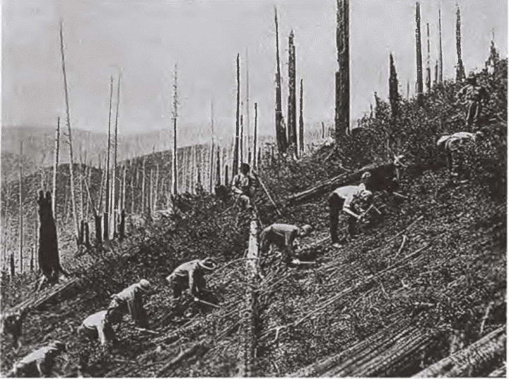 Иллюстрация к книге — Франклин Рузвельт [i_045.jpg]