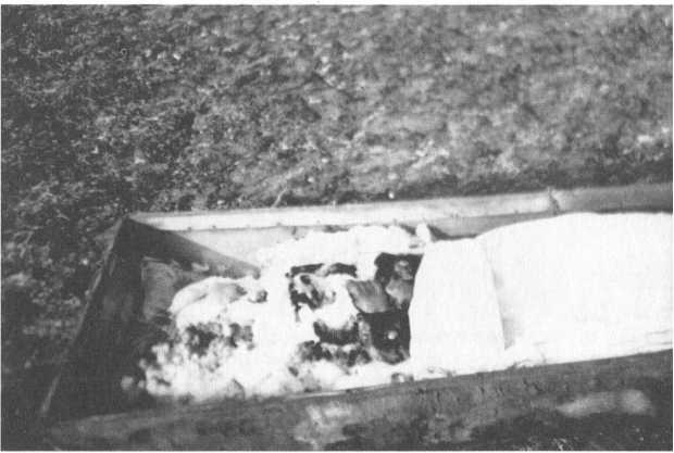 Иллюстрация к книге — Авантюры открытого моря [image42.jpg]