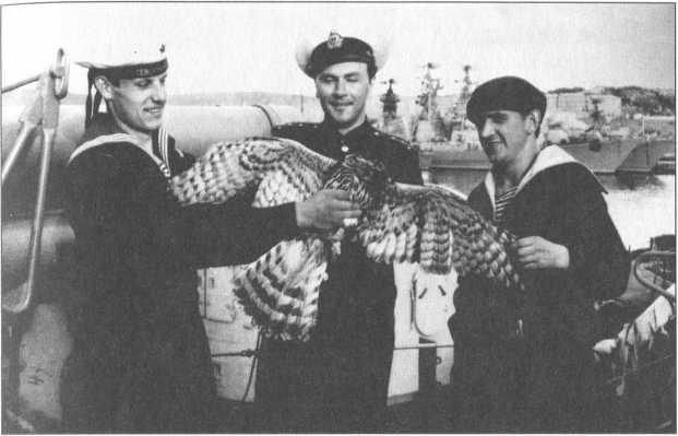 Иллюстрация к книге — Авантюры открытого моря [image63.jpg]