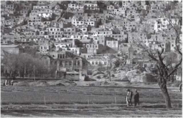 Иллюстрация к книге — Громов [i_033.jpg]